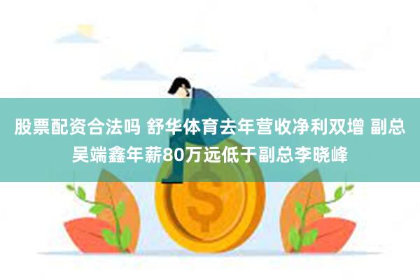 股票配资合法吗 舒华体育去年营收净利双增 副总吴端鑫年薪80万远低于副总李晓峰