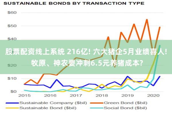 股票配资线上系统 216亿! 六大猪企5月业绩喜人! 牧原、神农要冲刺6.5元养猪成本?