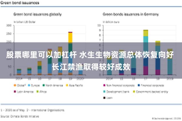 股票哪里可以加杠杆 水生生物资源总体恢复向好 长江禁渔取得较好成效