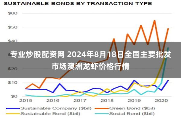 专业炒股配资网 2024年8月18日全国主要批发市场澳洲龙虾价格行情