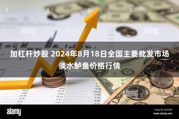 加杠杆炒股 2024年8月18日全国主要批发市场淡水鲈鱼价格行情