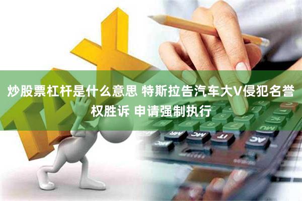 炒股票杠杆是什么意思 特斯拉告汽车大V侵犯名誉权胜诉 申请强制执行