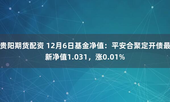 贵阳期货配资 12月6日基金净值：平安合聚定开债最新净值1.031，涨0.01%