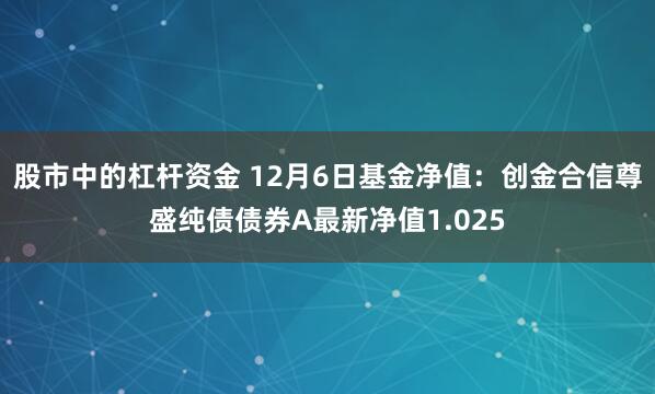 股市中的杠杆资金 12月6日基金净值：创金合信尊盛纯债债券A最新净值1.025