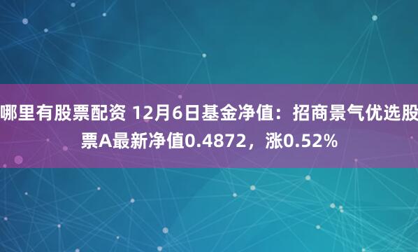 哪里有股票配资 12月6日基金净值：招商景气优选股票A最新净值0.4872，涨0.52%