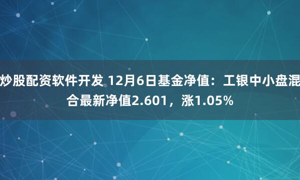 炒股配资软件开发 12月6日基金净值：工银中小盘混合最新净值2.601，涨1.05%