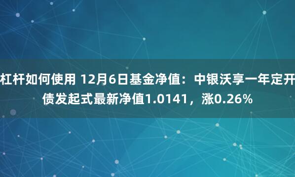 杠杆如何使用 12月6日基金净值：中银沃享一年定开债发起式最新净值1.0141，涨0.26%