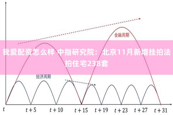 我爱配资怎么样 中指研究院：北京11月新增挂拍法拍住宅238套