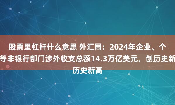 股票里杠杆什么意思 外汇局：2024年企业、个人等非银行部门涉外收支总额14.3万亿美元，创历史新高