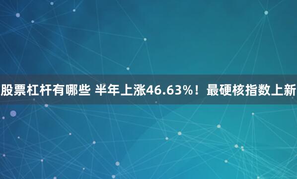 股票杠杆有哪些 半年上涨46.63%！最硬核指数上新