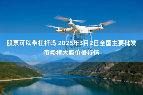 股票可以带杠杆吗 2025年3月2日全国主要批发市场猪大肠价格行情