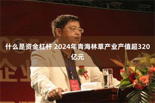 什么是资金杠杆 2024年青海林草产业产值超320亿元