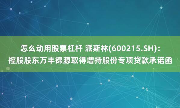 怎么动用股票杠杆 派斯林(600215.SH)：控股股东万丰锦源取得增持股份专项贷款承诺函